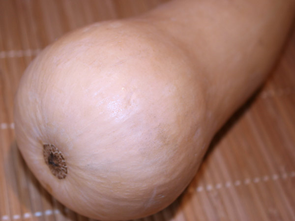 Detail of butternut squash.