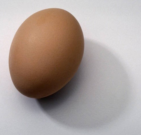 A single light brown egg.