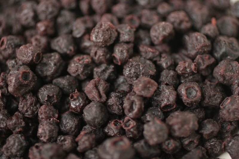 Dried blueberries.