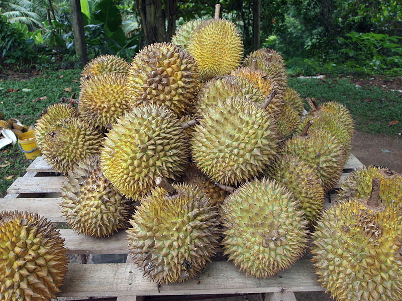 A pile of durians.