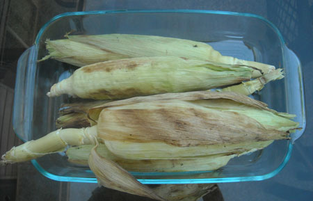 Detail of two roasted cobs of corn.