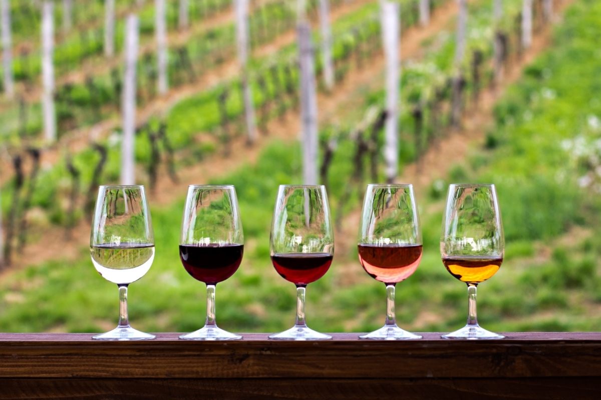 A slection of fine wines in glasses against a vineyard background.