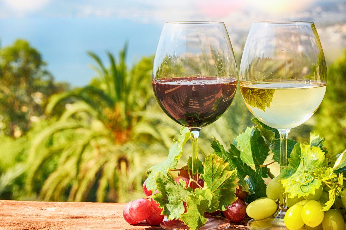 A glass or red wine and a glass of white wine under the Spanish sun.