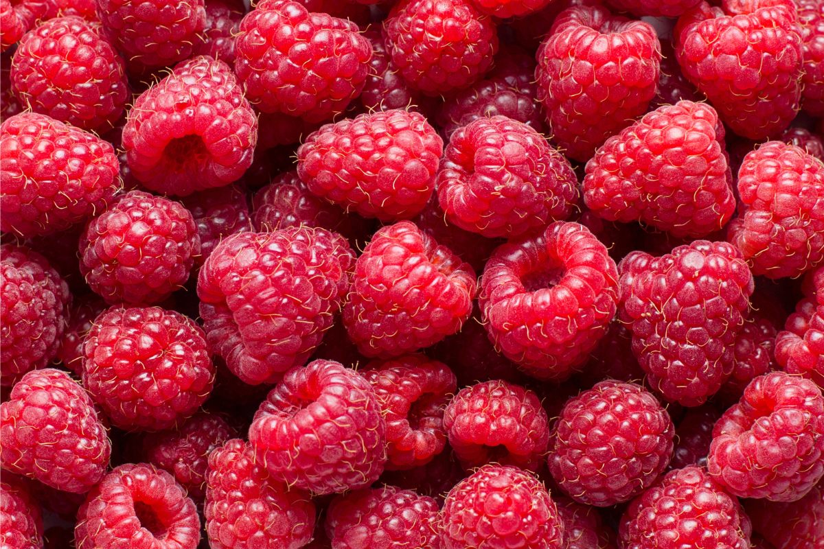 Fresh raspberries, hulled.