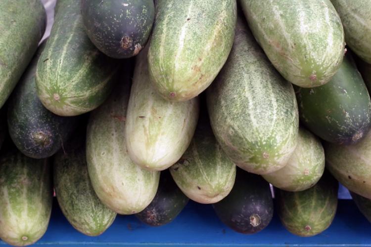 A pile of cucumbers on a market stall