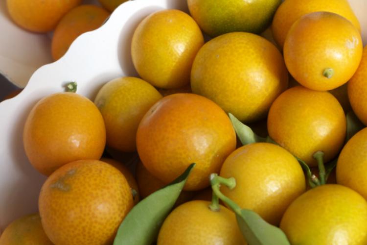 Kumquats.
