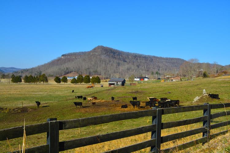 Farm in Kentucky.