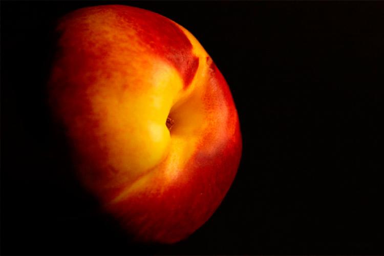 One peach with dark background.