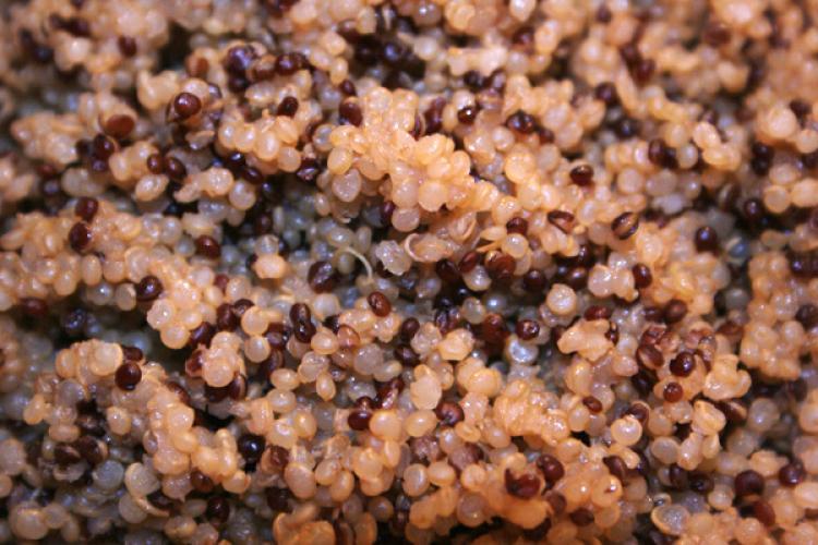 Read and pearl quinoa cooked.