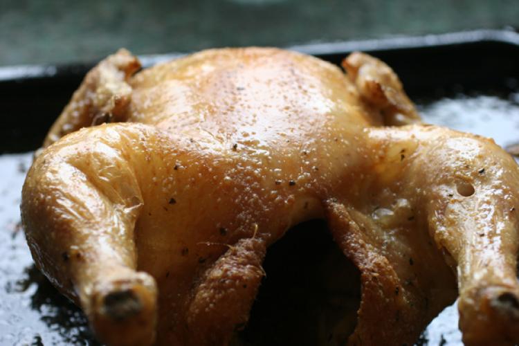 Roast chicken in a baking tray.