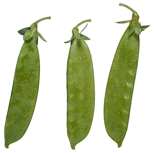 Mange tout, peas eaten whole.