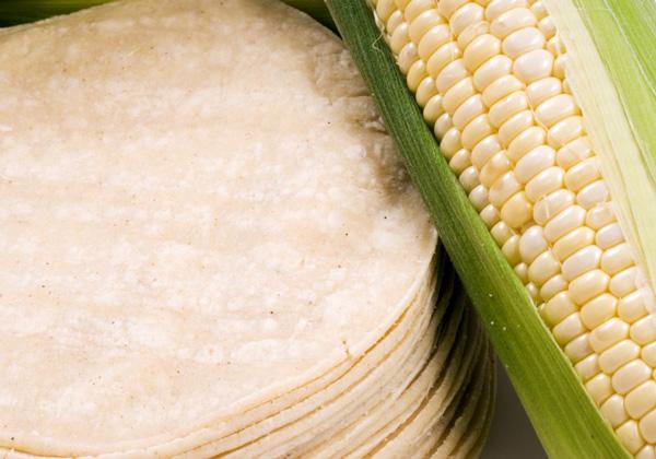 corn tortillas and corn husk.