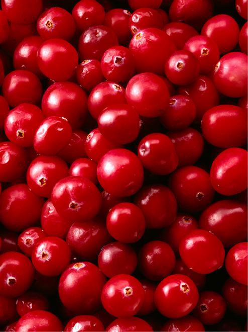 Fresh cranberries.