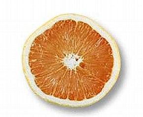 Grapefruit section.