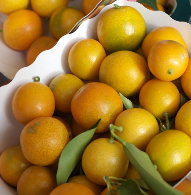 Kumquats.