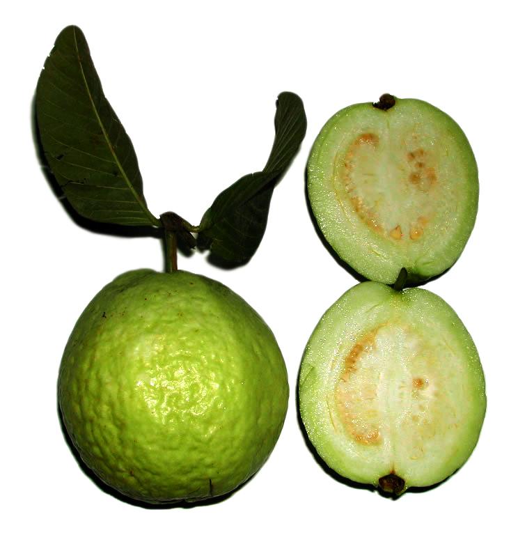 Guava.