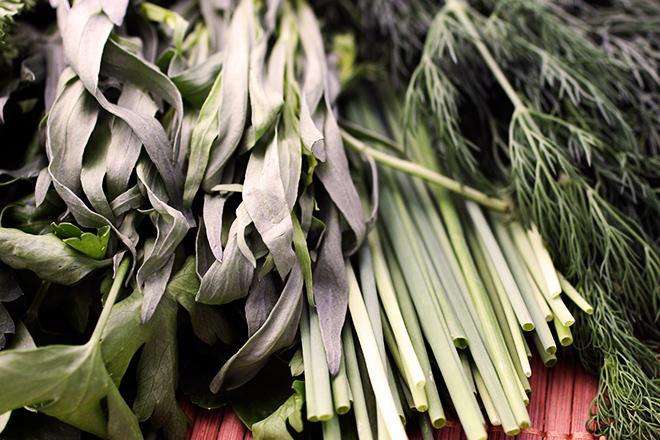 A selection of fresh aromatic herbs including chives, coriander and dill.
