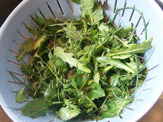 Wild greens in a colander.