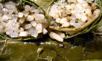 Rice stuffed dolma sectioned.