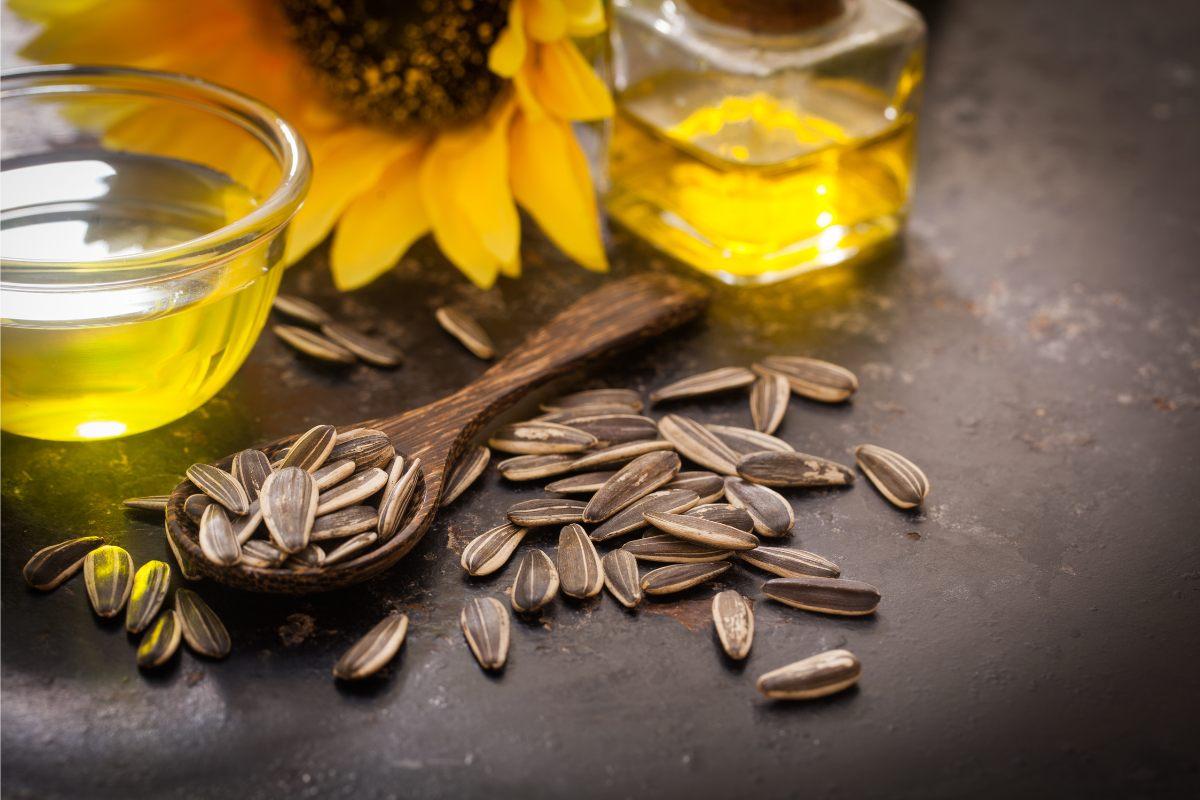 Sunflower seeds with a bowl and bottle of sunflower oil; sunflower bloom in the background.