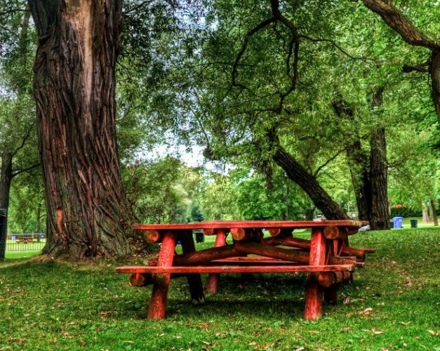 Picnic spot in Toronto.