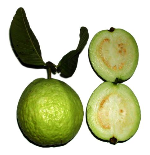 Guava.