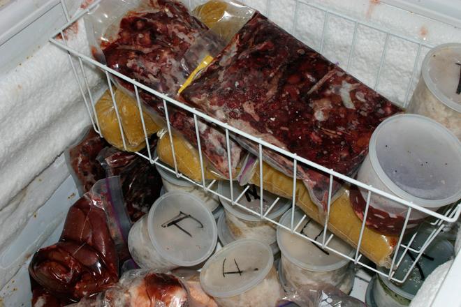Interior of a freezer