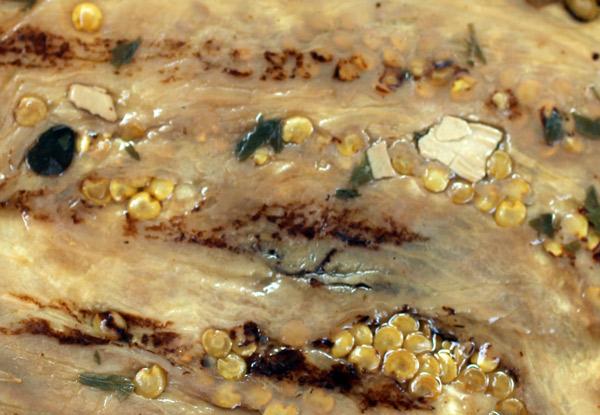 Detail of pickled eggplant.