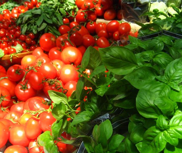 Basil and tomatoes.