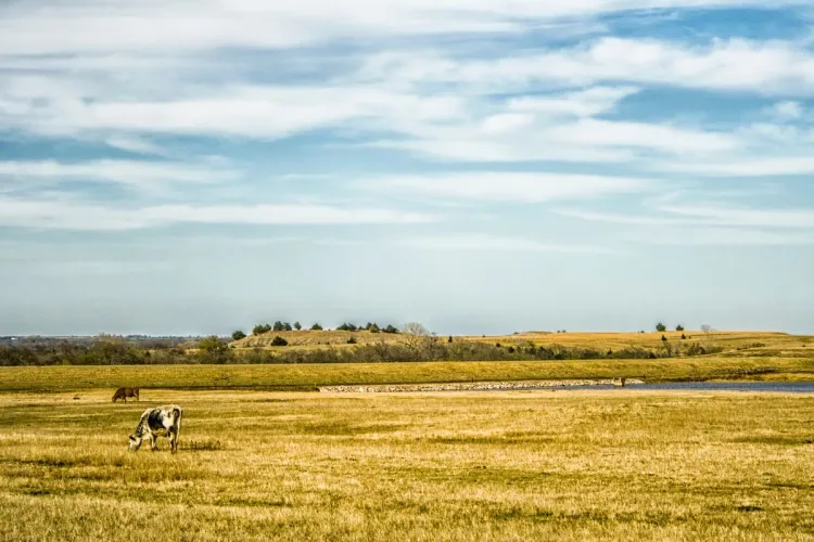 Oklahoma landscape.