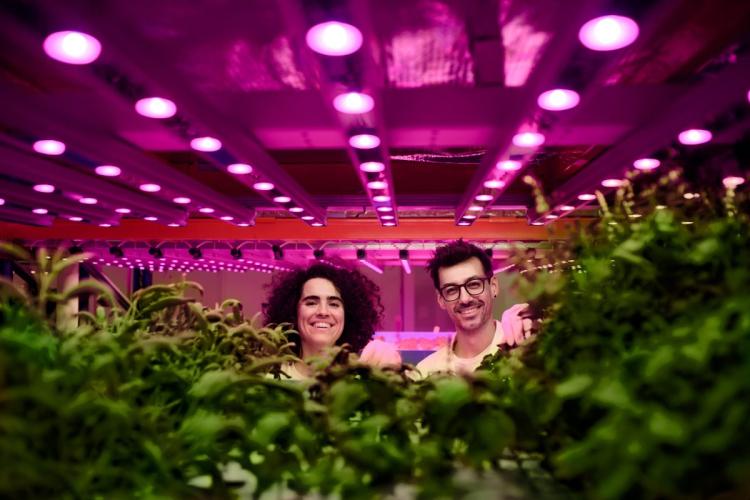 An indoor aquaponic farm.