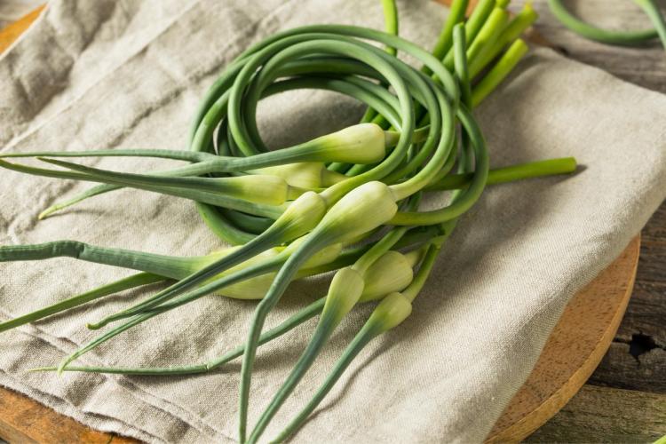 A bunch of raw garlic scapes.