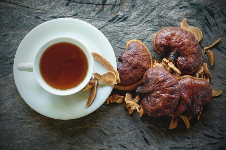 Reishi tea and linghzi mushrooms.