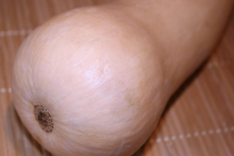 Detail of butternut squash.