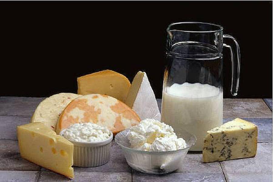 Several types of cheese and a jug with milk.