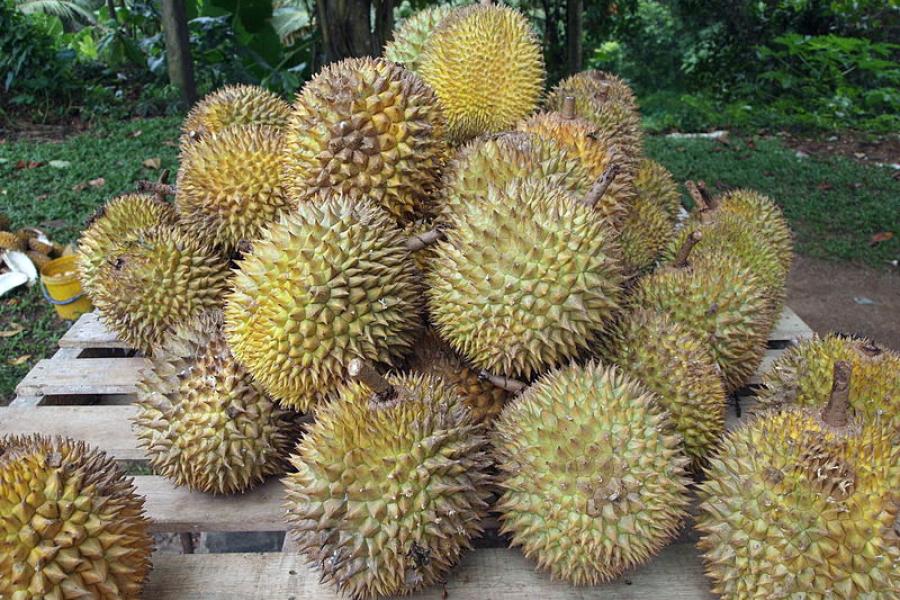 A pile of durians.