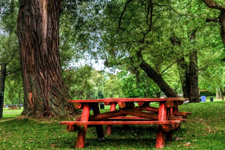 Picnic spot in Toronto.