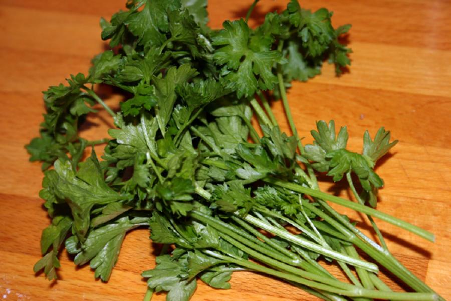 A bunch of fresh parsley.