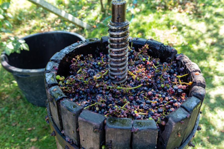 Wine press (old style)