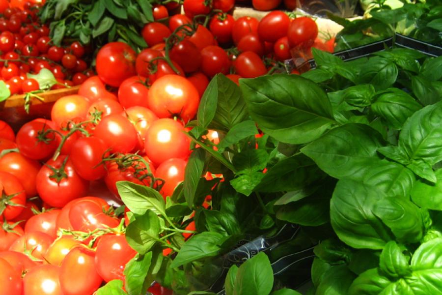 Basil and tomatoes.