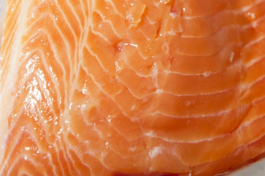 Detail of raw salmon fillet.