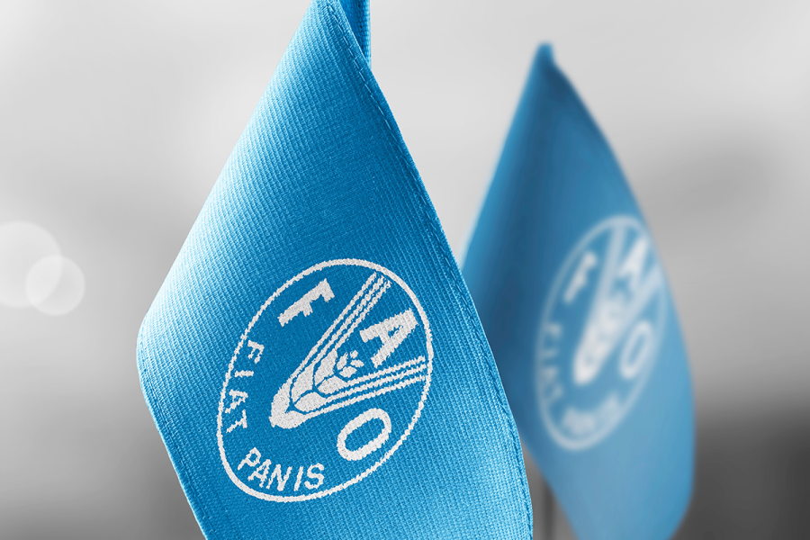 Two light blue FAO flags.