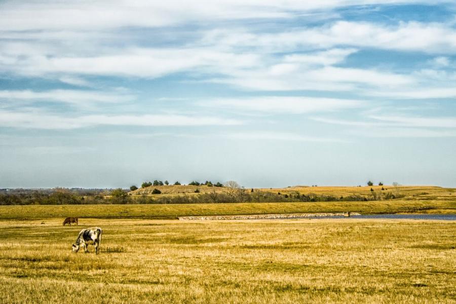 Oklahoma landscape.