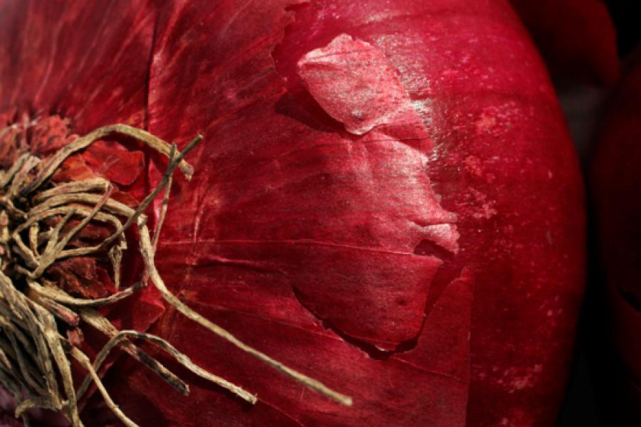 Detail of a red onion.