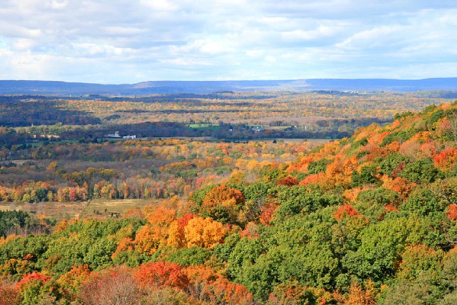 autumn in Delaware, landscape.