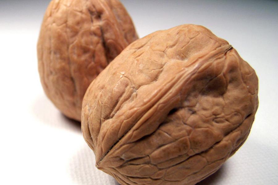 Two walnuts in the shell.