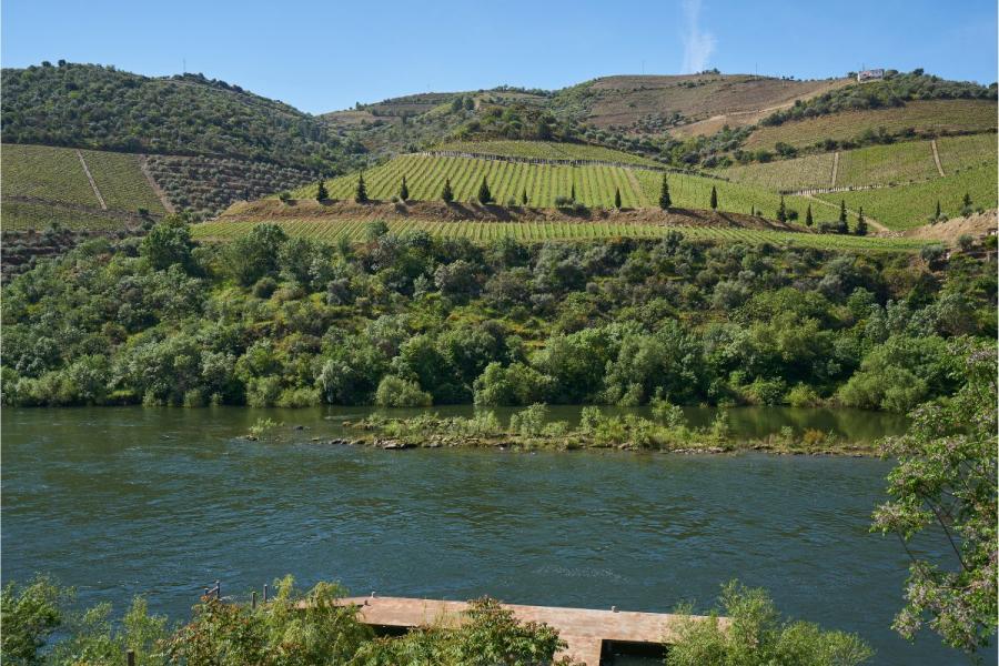 View of the Douro Valley wine region.