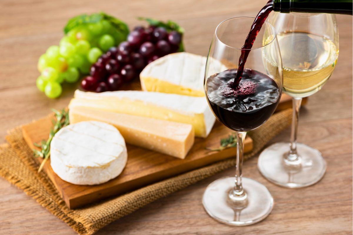 Assorted cheese and wine, a food and wine shocase concept.